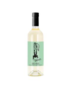 Baltv. Caduto Pinot Grigio Delle Venezia 12%