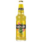 Alus kokt. Cēsu Radler Cactus 2.5%