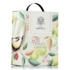 Baltv. Montalto Pinot Grigio 13%
