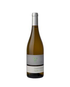 Baltv. Saint Preignan Chardonnay 13%