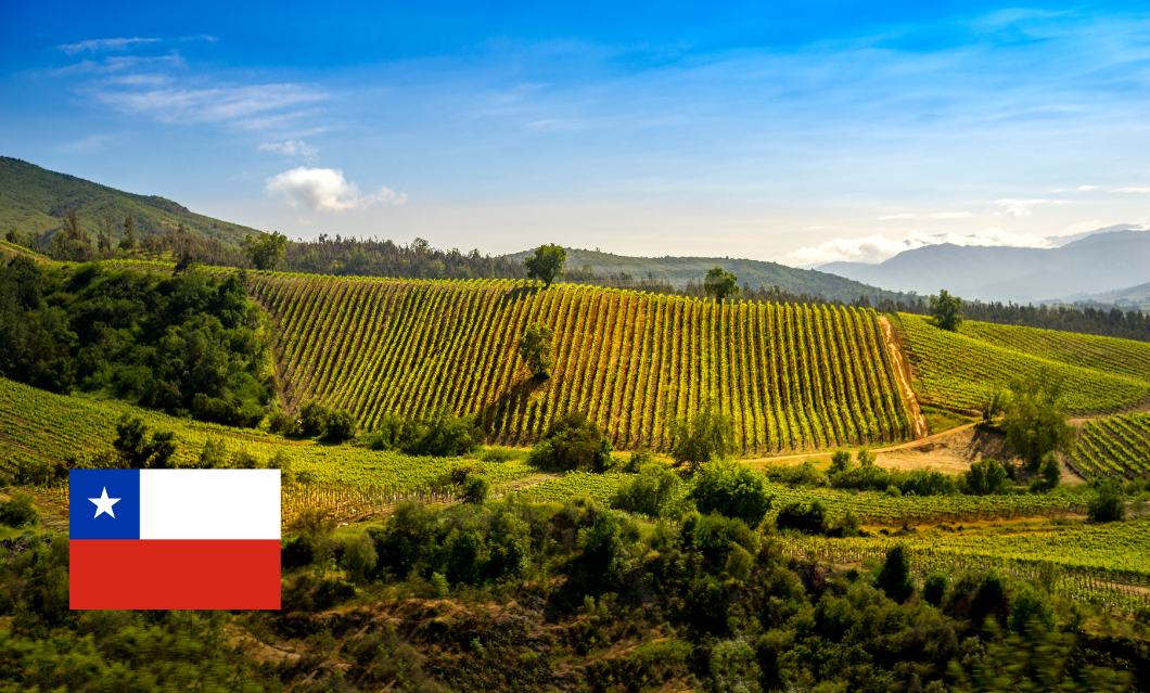 Čīle un tās vīni